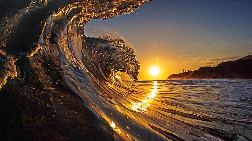 Photo of Others in Westside Santa Cruz