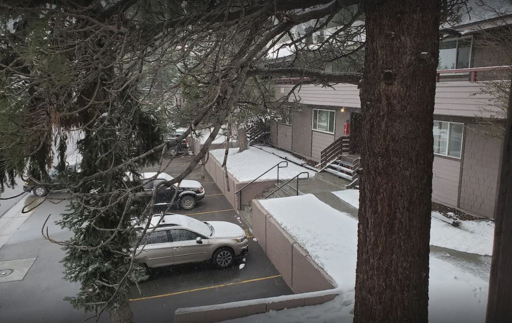 Photo of Others in Mammoth Lakes