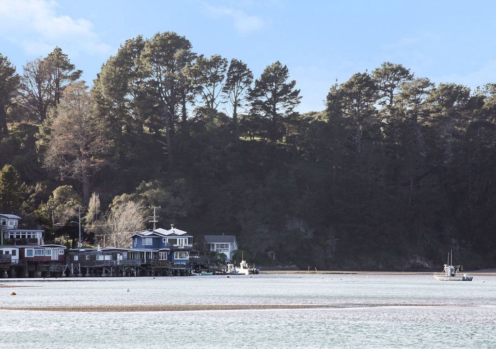 Photo of Others in Stinson Beach
