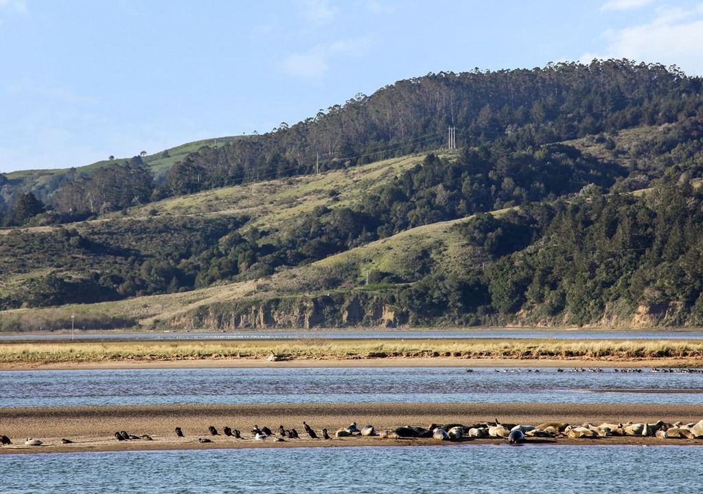 Photo of Others in Stinson Beach