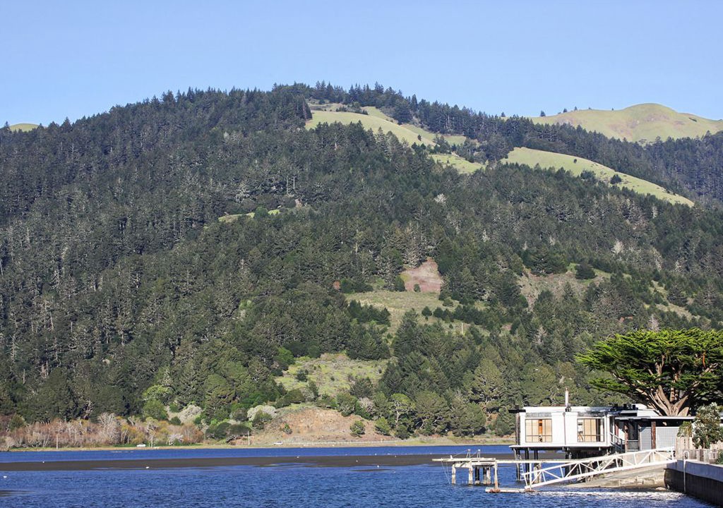 Photo of Outdoor in Stinson Beach