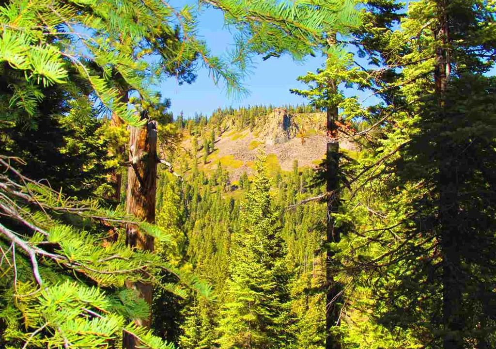 Photo of Outdoor in Tahoe Pines