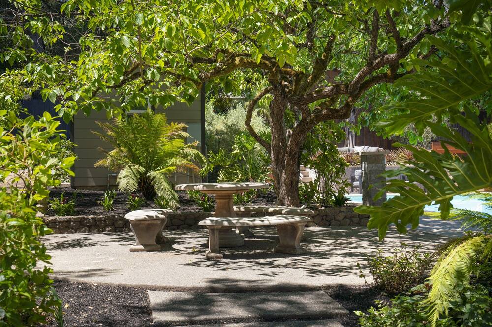 Photo of Outdoor in Geyserville