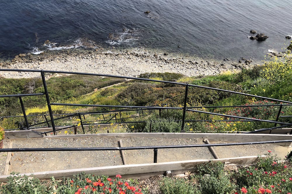 Photo of Others in Rancho Palos Verdes