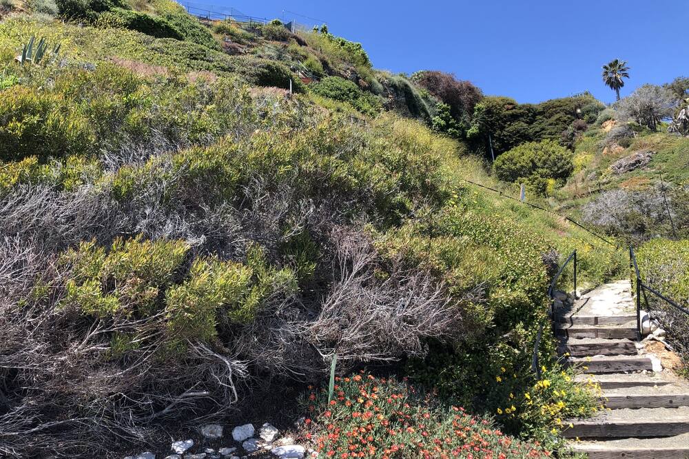 Photo of Others in Rancho Palos Verdes