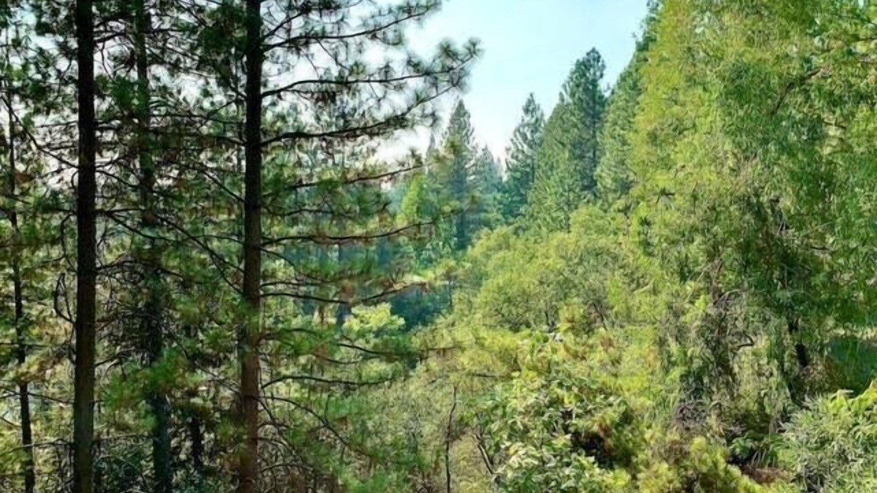 Photo of Others in Apple Hill