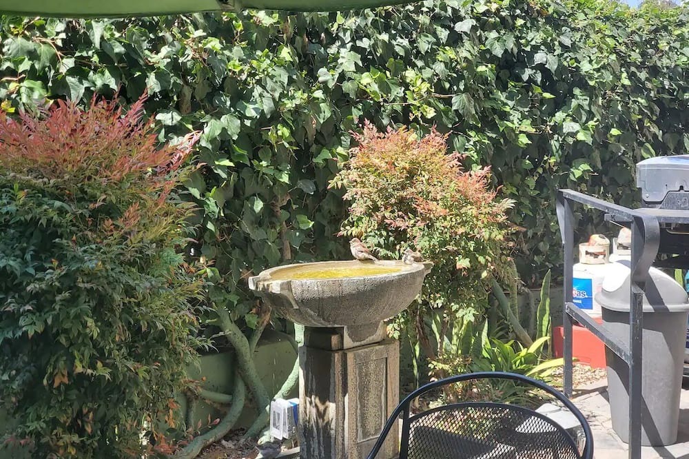 Photo of Patio Balcony in Cortez Hill