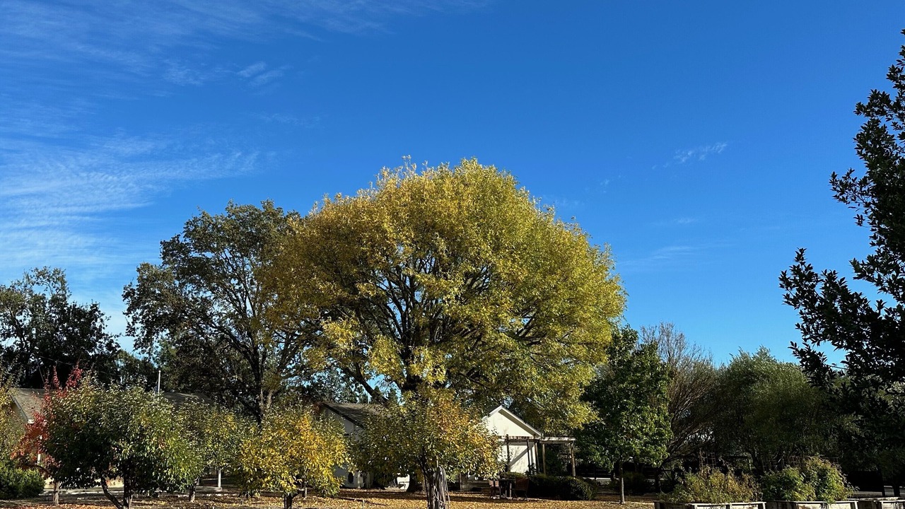 Photo of Outdoor in Windsor