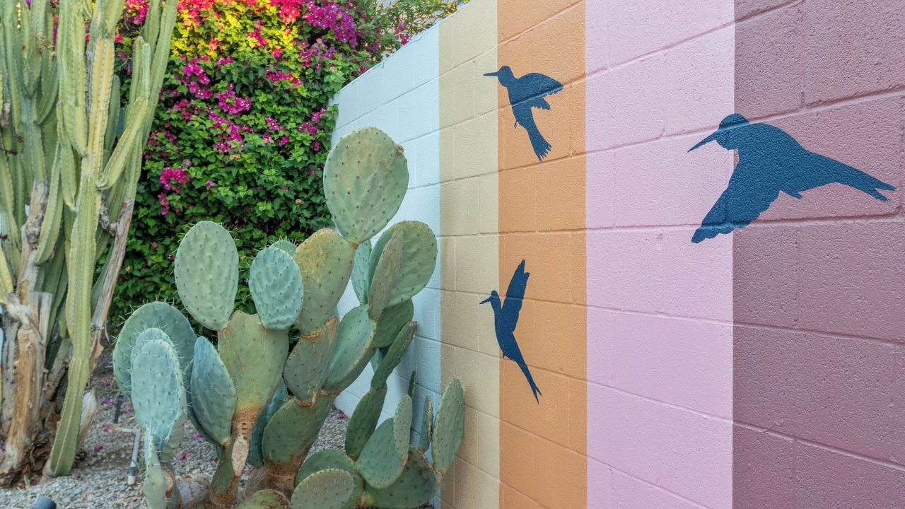 Photo of Outdoor in The Mesa