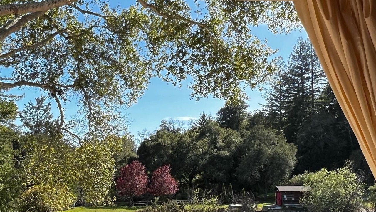 Photo of Others in Los Gatos