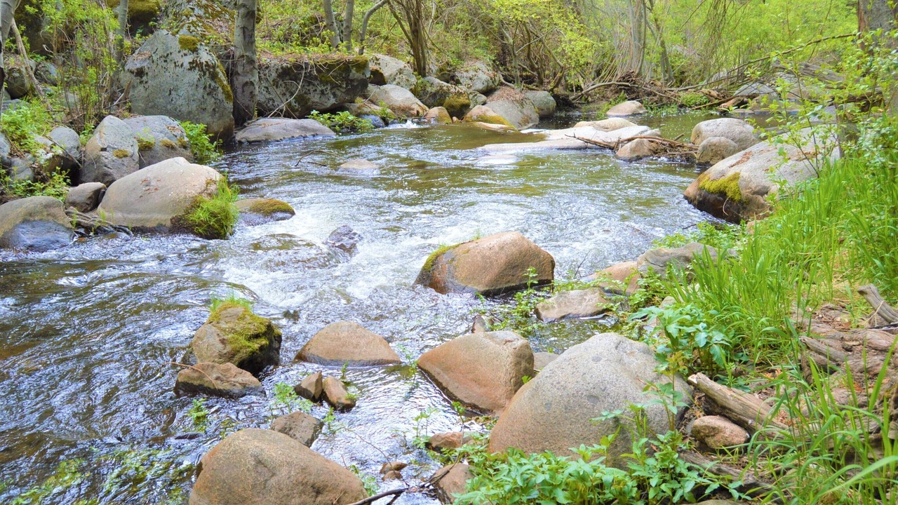 Photo of Outdoor in Camp Nelson