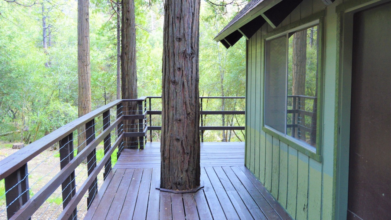 Photo of Outdoor in Camp Nelson
