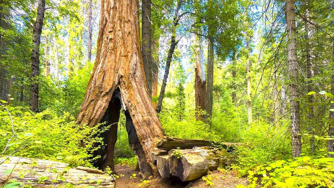 Photo of Outdoor in Camp Nelson