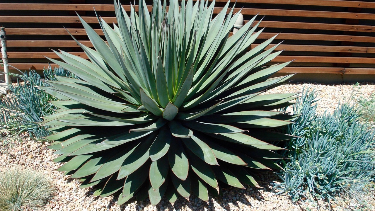Photo of Outdoor in East San Roque