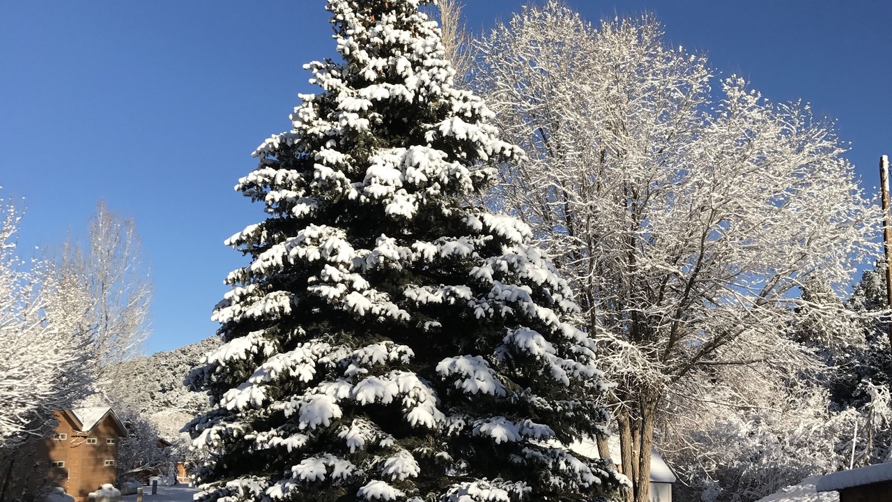 Photo of Outdoor in Bridgeport