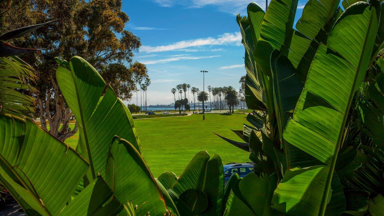 Photo of Outdoor in East Beach