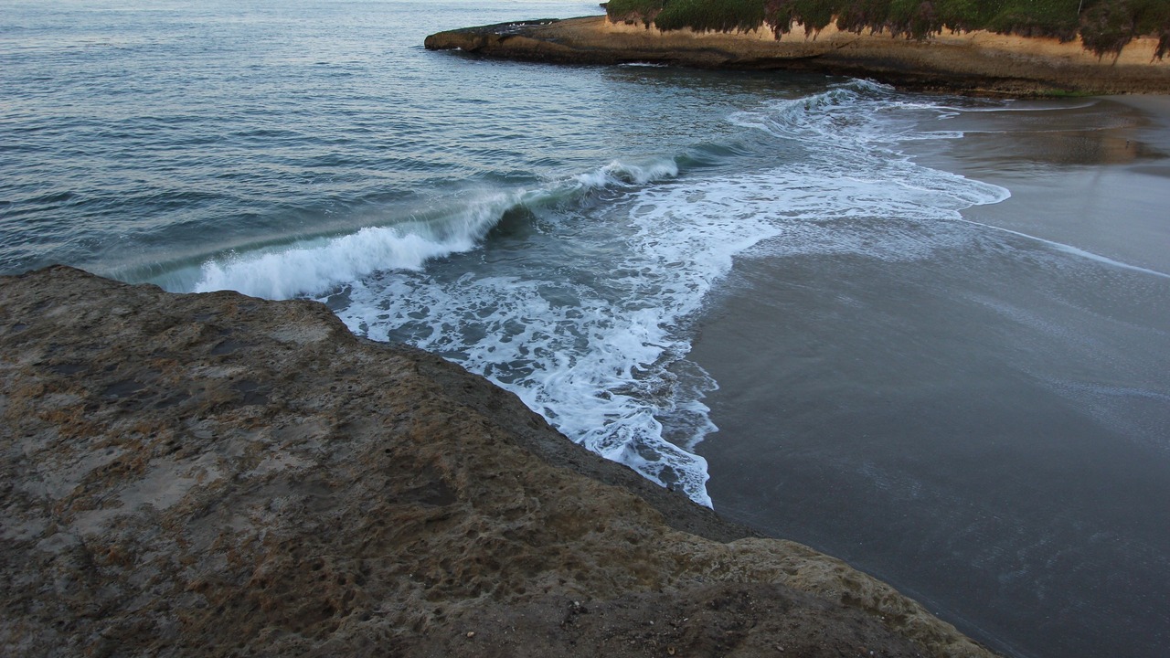 Photo of Others in Eastside Santa Cruz
