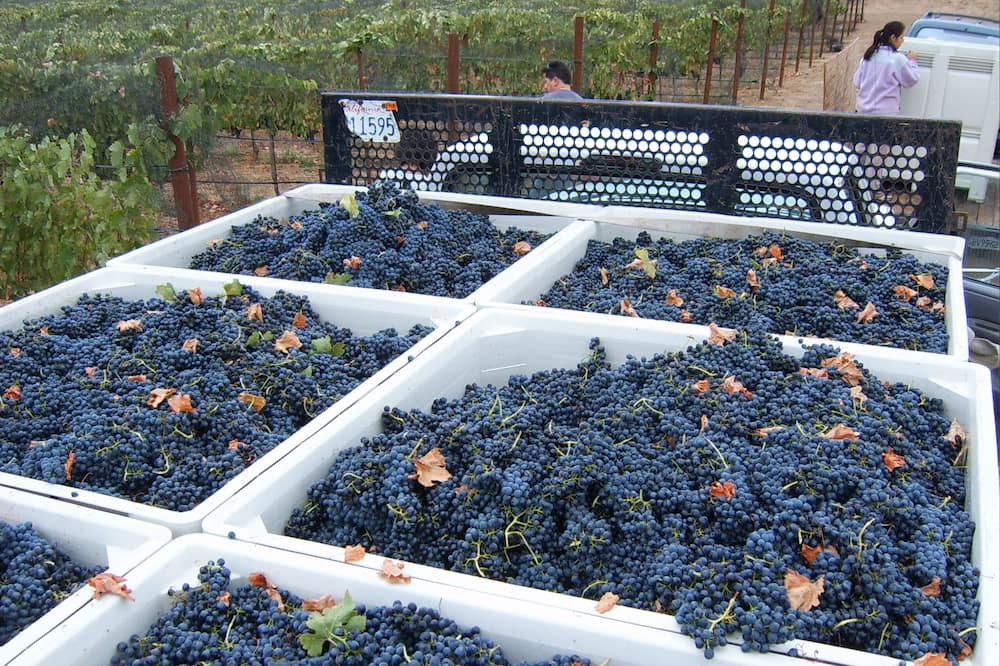 Photo of Outdoor in Santa Ynez