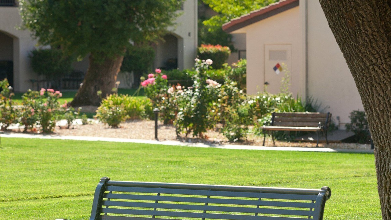 Photo of Outdoor in Nice