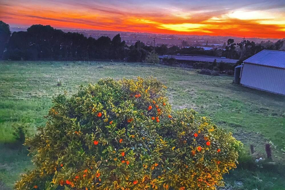 Photo of Others in Interlaken