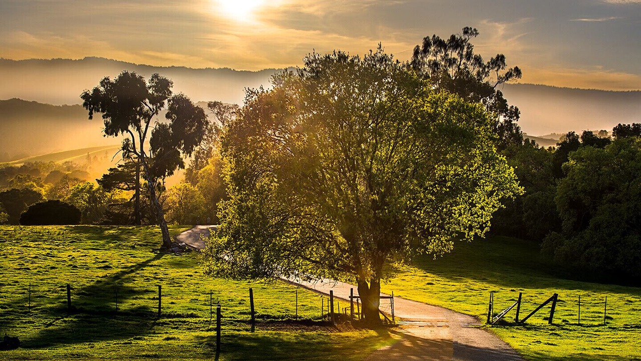 Photo of Outdoor in Redwood City