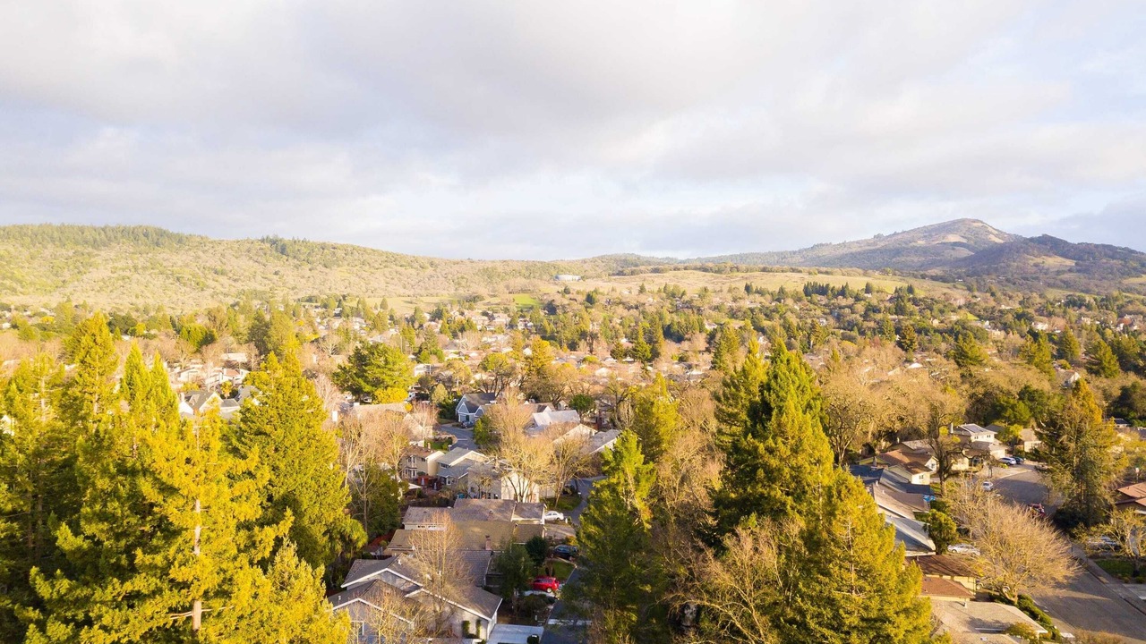 Photo of Others in Bennett Valley