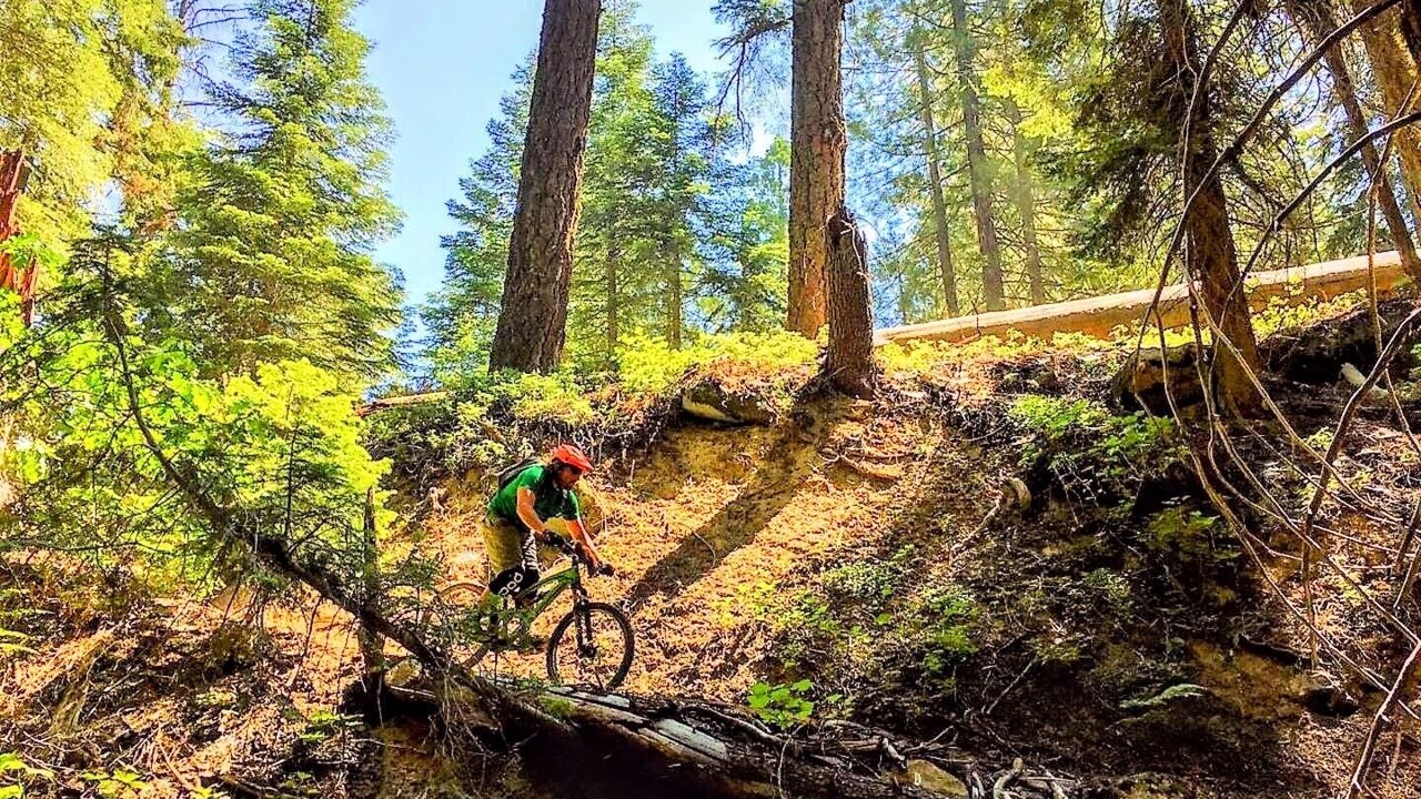 Photo of Outdoor in Springville