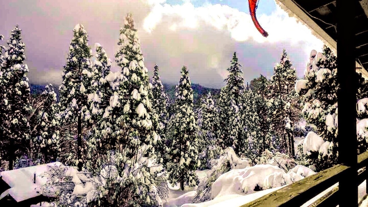 Photo of Outdoor in Springville