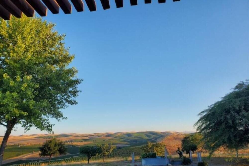Photo of Outdoor in San Miguel