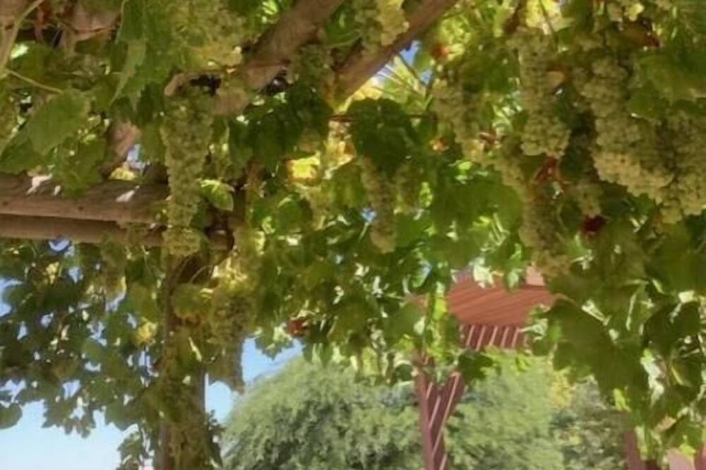 Photo of Outdoor in San Miguel