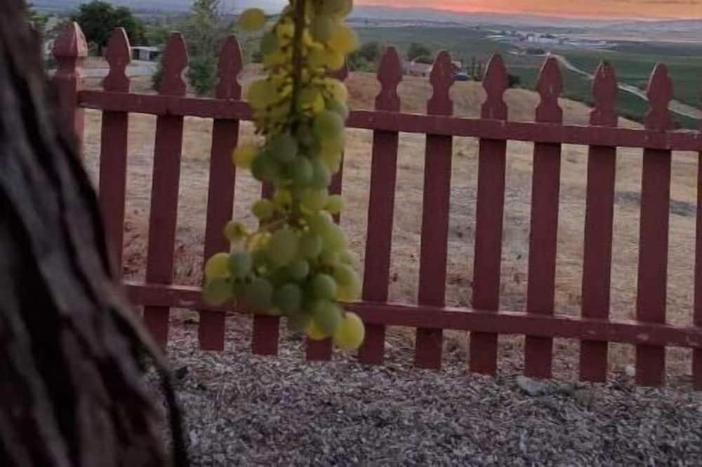 Photo of Outdoor in San Miguel