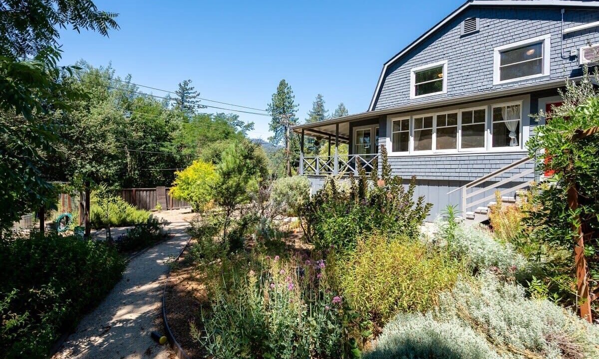Photo of Outdoor in Ben Lomond