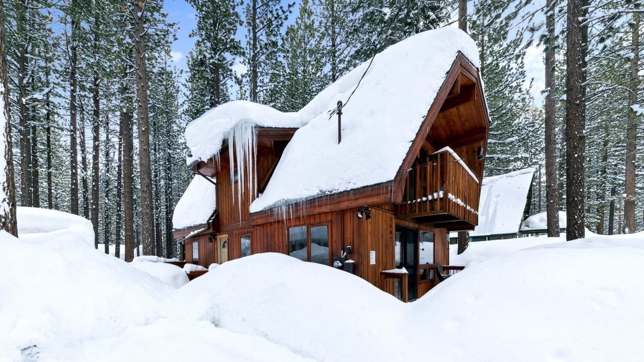 Photo of Outdoor in Black Bart