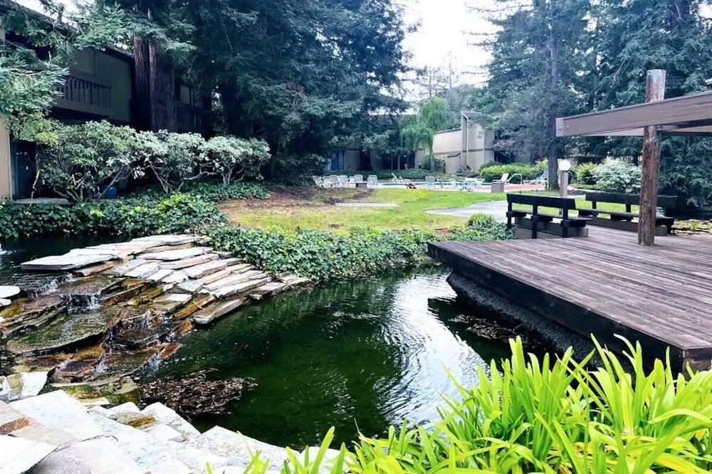 Photo of Outdoor in Jackson Park
