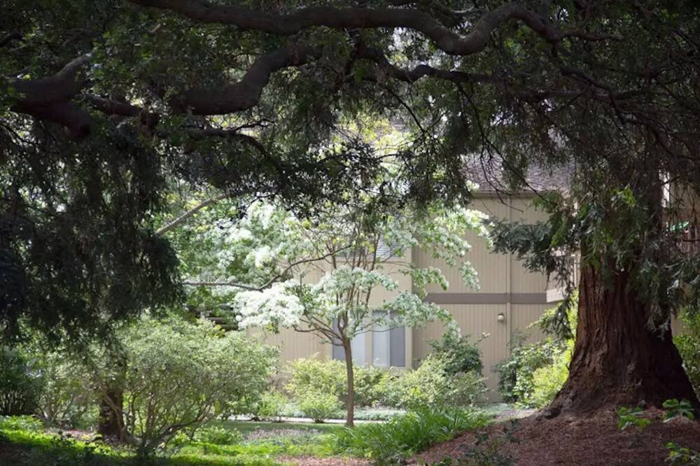 Photo of Outdoor in Jackson Park