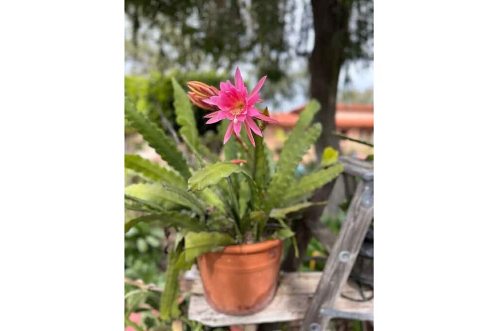 Photo of Outdoor in Alpine