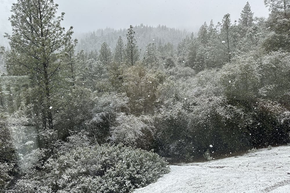 Photo of Outdoor in Sutter Creek