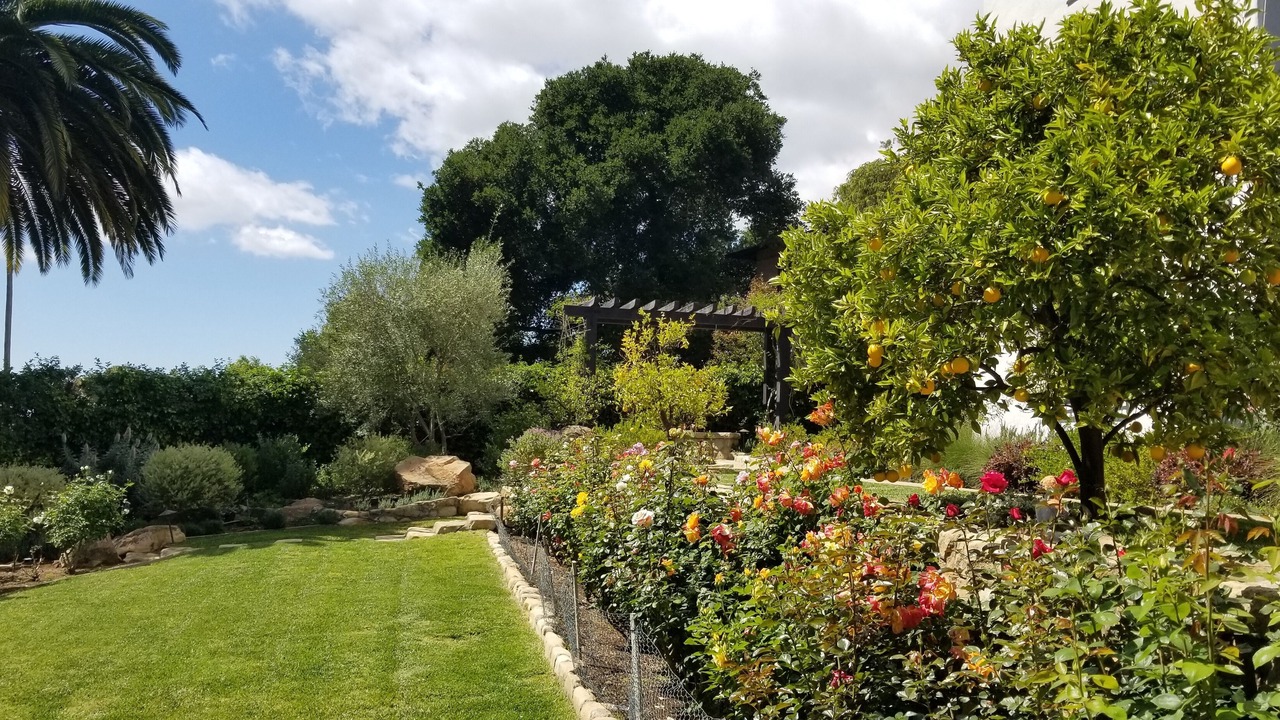 Photo of Outdoor in Upper Riviera