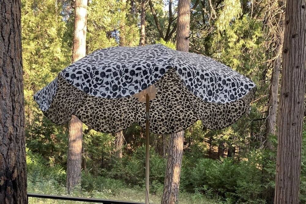 Photo of Others in Idyllwild