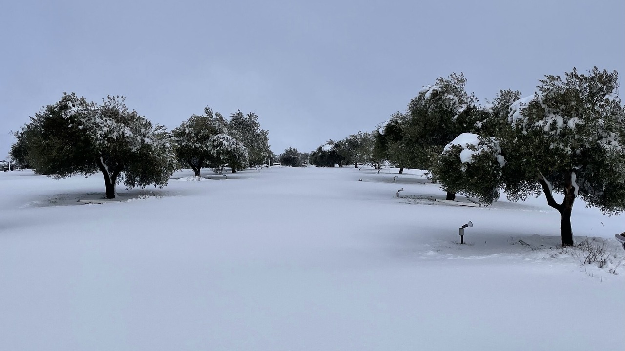 Photo of Others in Hesperia