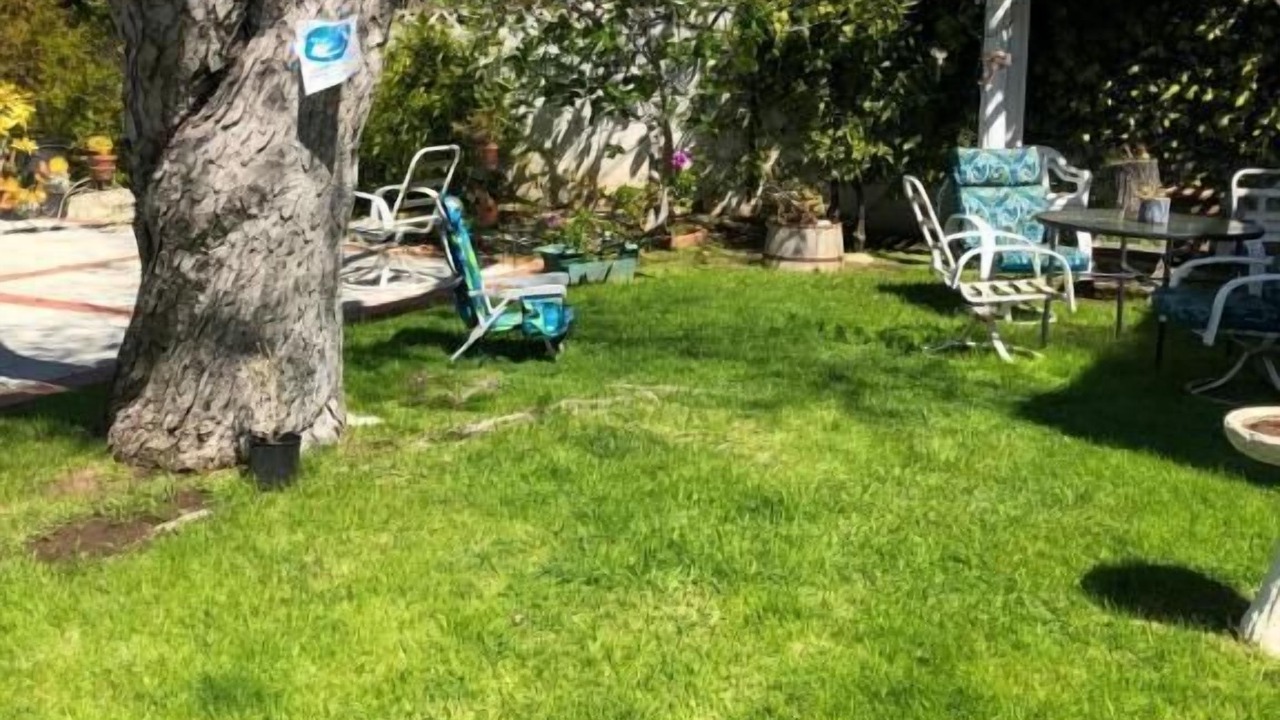 Photo of Outdoor in Sunset Park