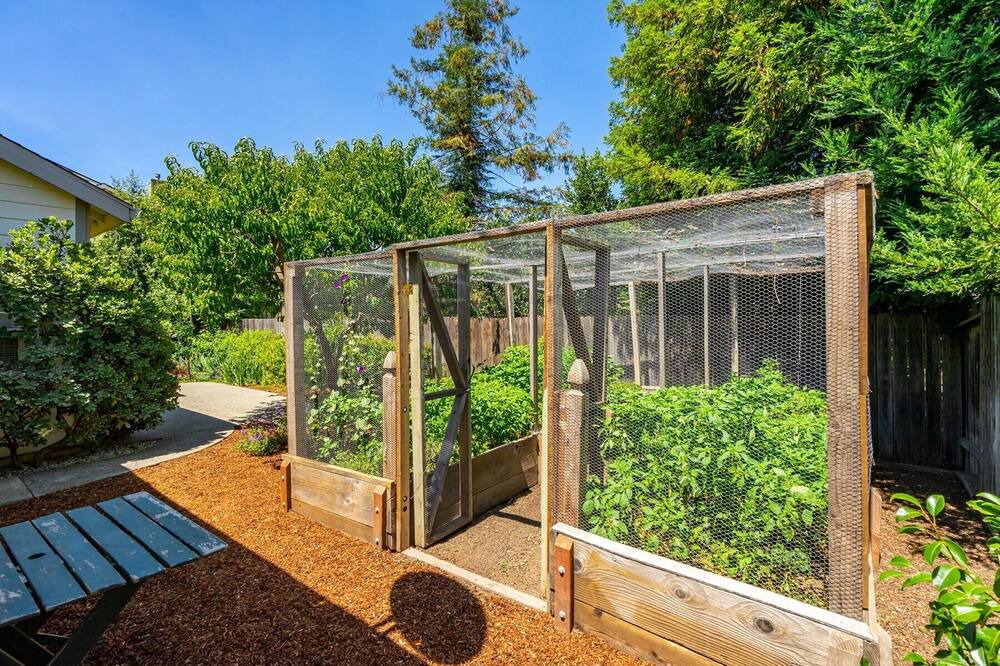Photo of Outdoor in Yountville