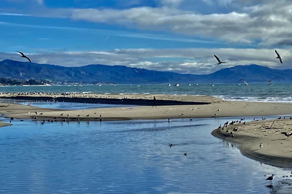 Photo of Others in East Beach