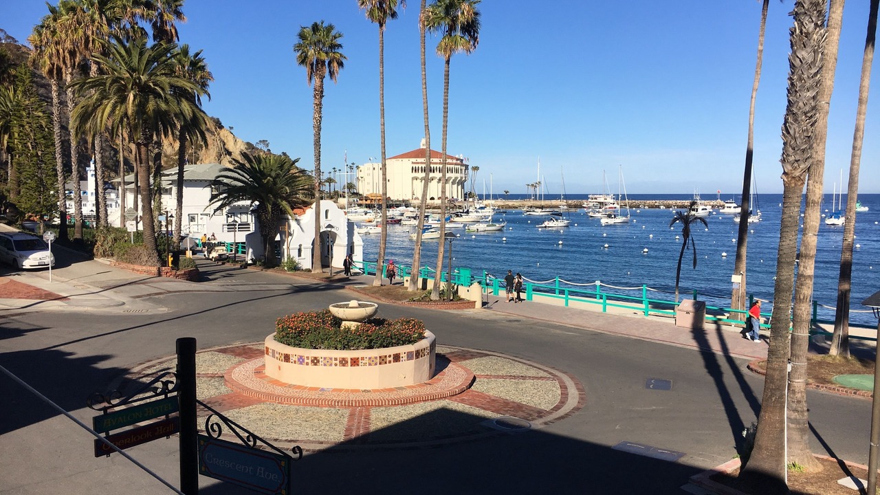 Photo of Others in Avalon