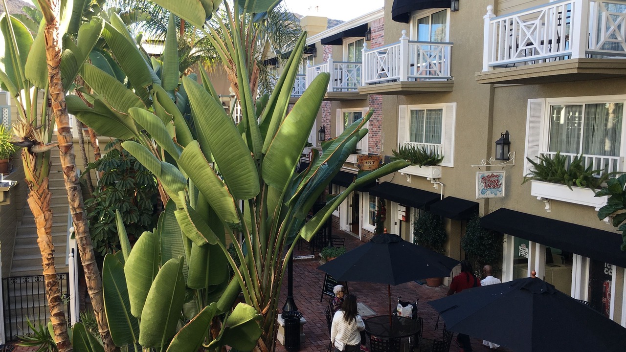 Photo of Outdoor in Avalon