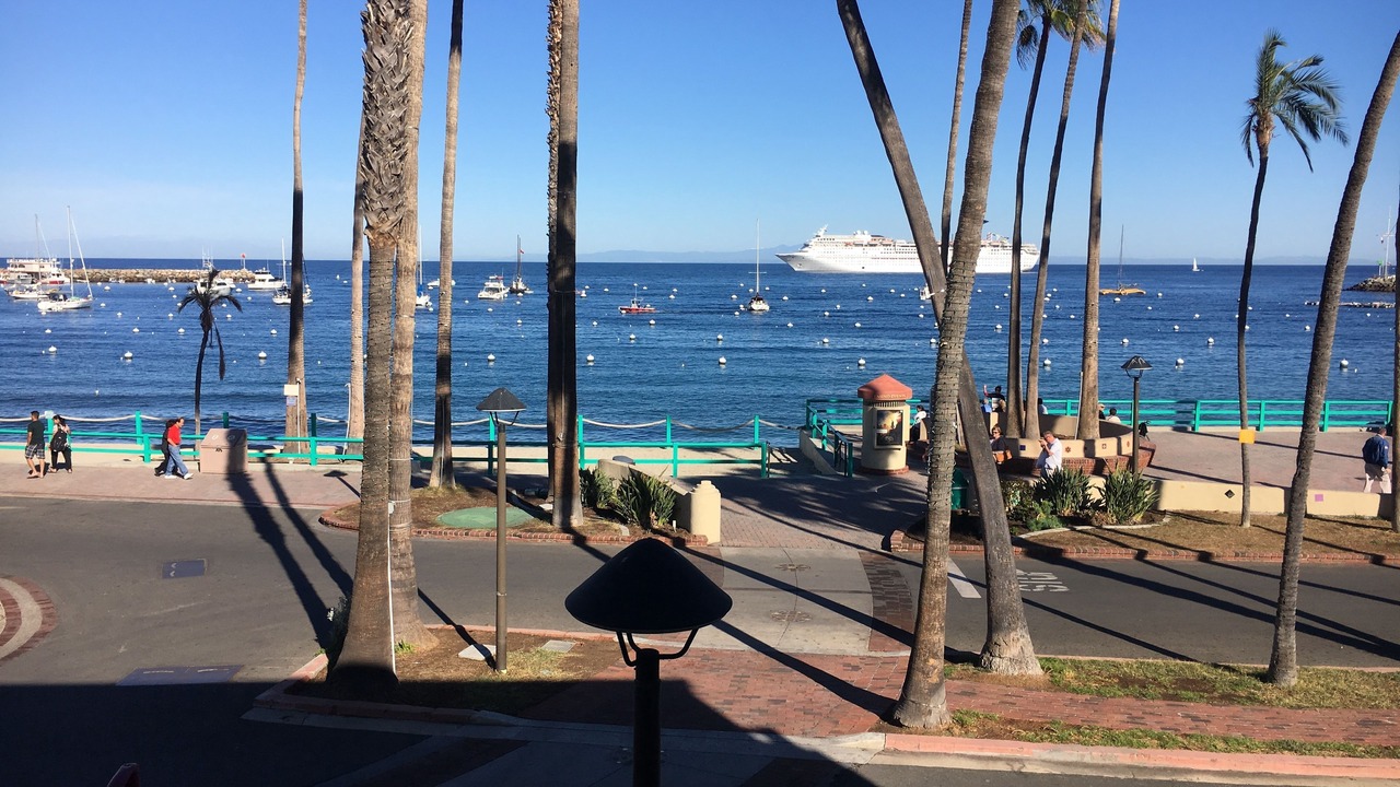 Photo of Others in Avalon