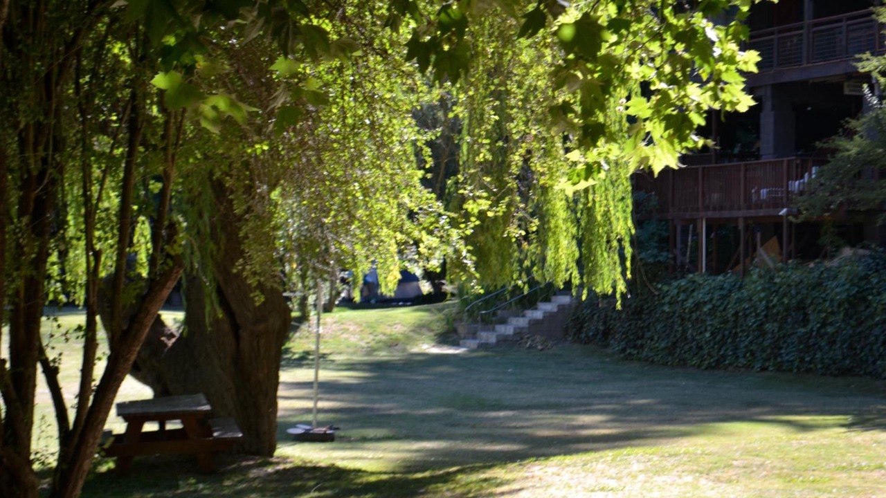 Photo of Outdoor in Guerneville