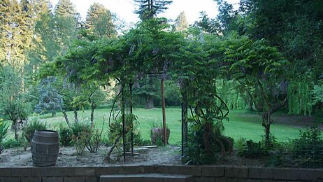 Photo of Outdoor in Guerneville