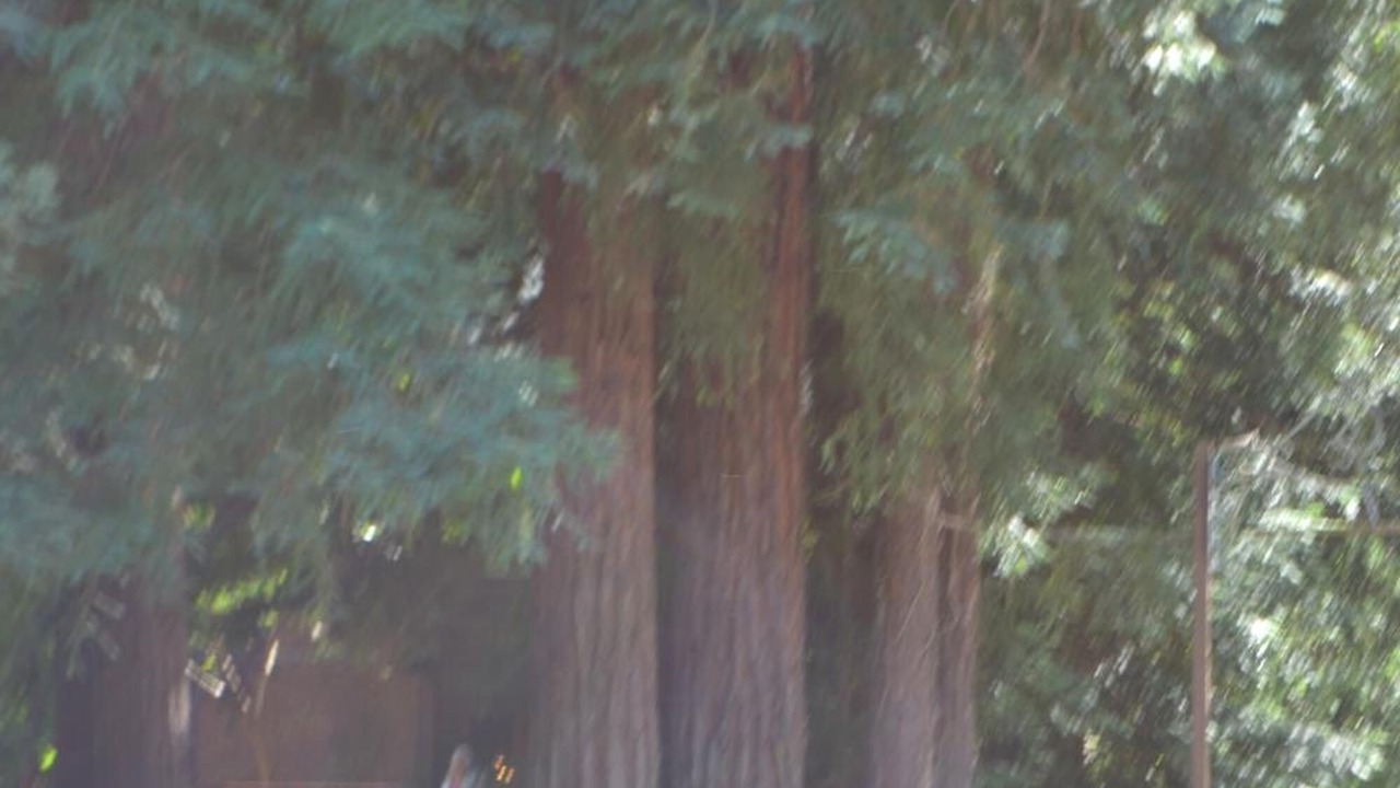 Photo of Others in Guerneville