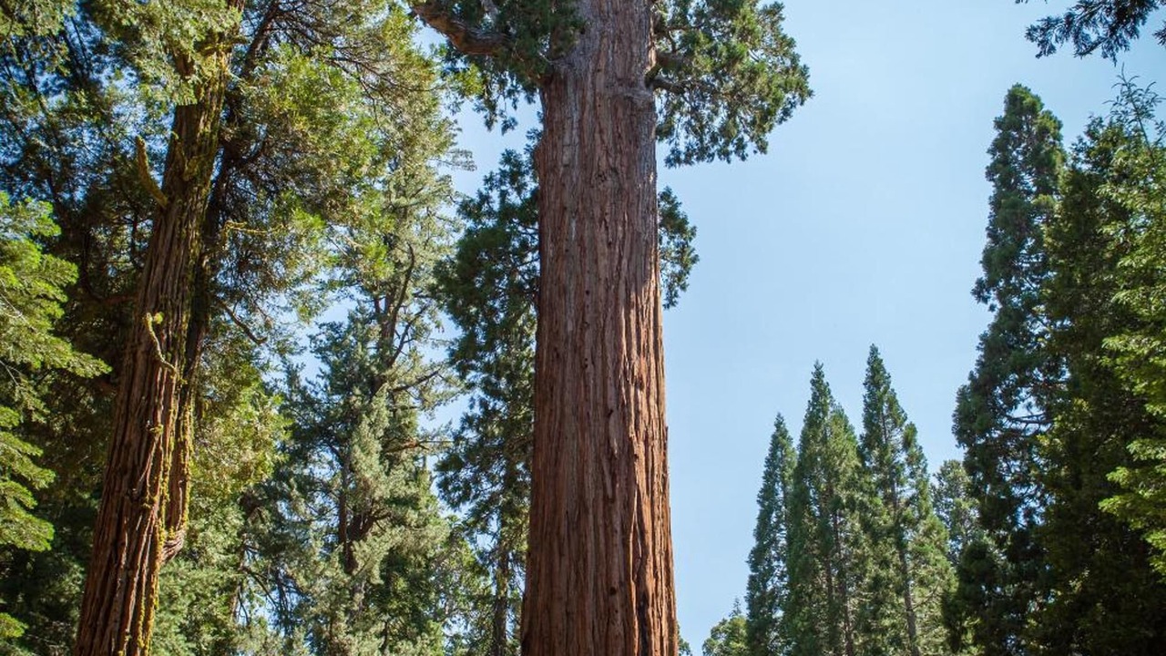 Photo of Outdoor in Kaweah